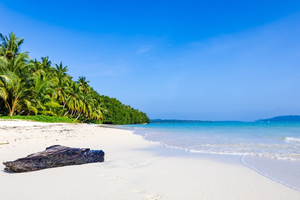 India-Andaman-Islands-Havelock-explorewithinfo-shutterstock2571515669-crop